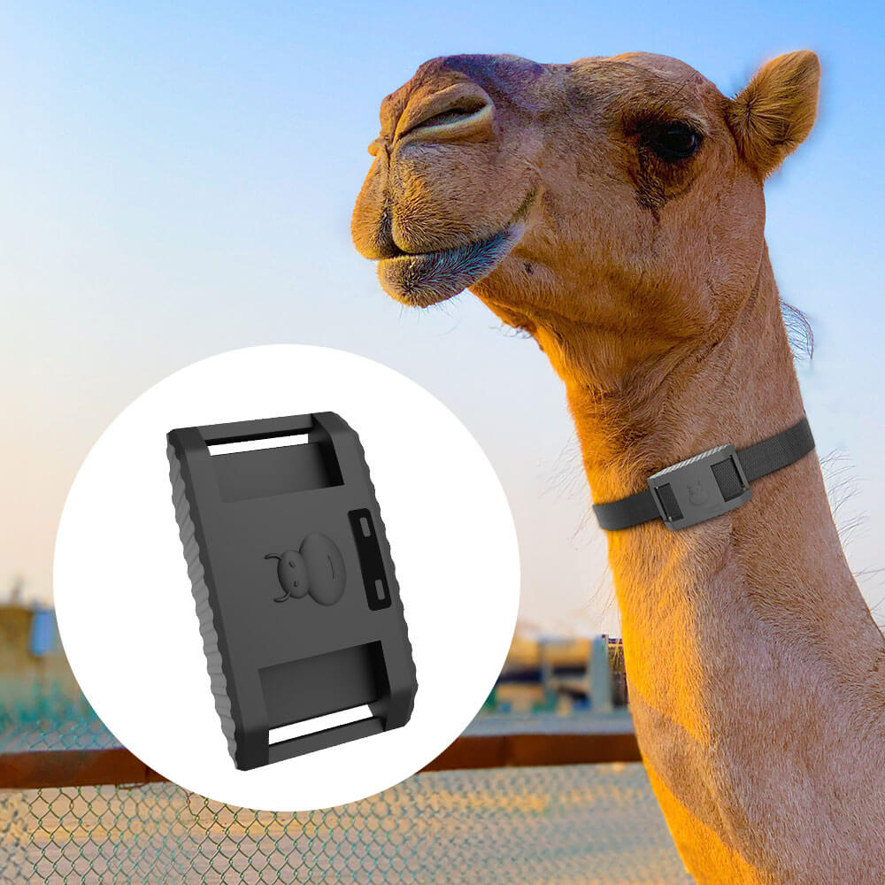 畜牧業牛羊馬定位器