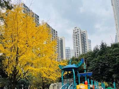 我想騎著單車去成都的街頭走走