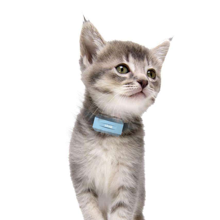 擁有專(zhuān)業(yè)寵物定位器幫助你解決寵物丟失問(wèn)題