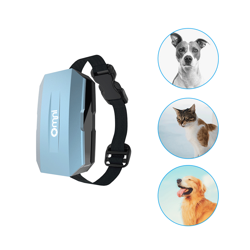 歐米智能寵物定位器可以解決哪些問題？